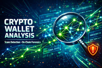 provide professional blockchain wallet analysis and investigation