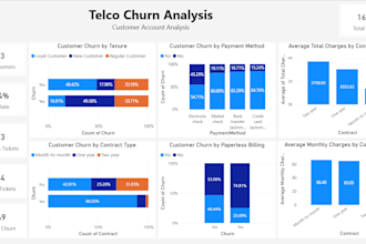 provide professional data analysis and reports