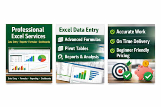 excel  formulas, and reports and accounting