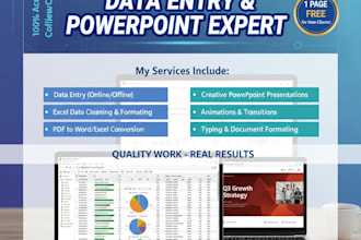 do professional data entry, ms office tasks and creative powerpoint presentation