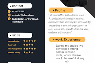 design the professional cv and resume
