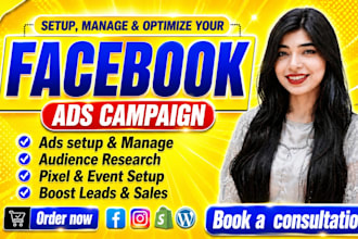 do facebook ads campaign,instagram ads, fb advertising, meta ads for sales leads