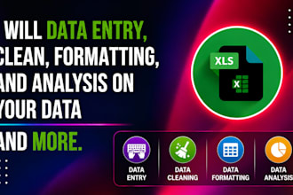 excel data entry, cleaning, formatting, and data analysis