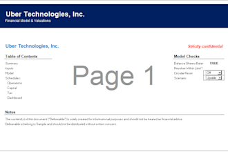 deliver customized financial model and business valuation