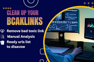 do spam backlinks audit and remove toxic links for SEO