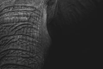 analyze and review your postgresql database config