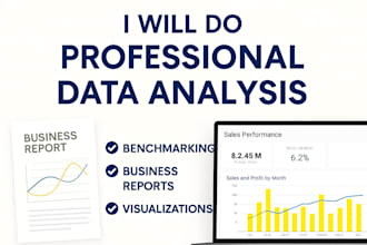 do professional data analysis and reports