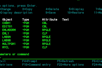 provide as400 IBM i rpgle and cobol programming services