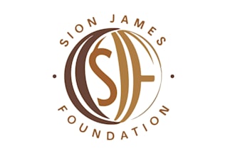 professional nonprofit  charity logo design