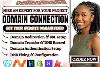 connect your domain, fix email records and manage domain transfer