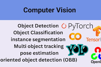 do custom computer vision model on detection, classification and segmentation