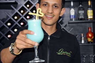 provide professional bartender and cocktail mixology services