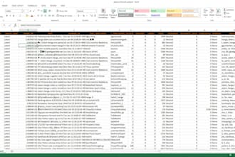 deliver high quality data entry and data collection