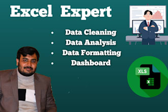 do excel data cleaning,  data formatting , merging and splitting of data