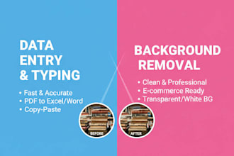 do data entry and backgraund removal profesionally