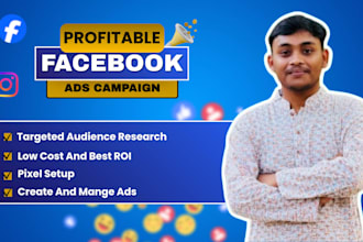 run ROI focused facebook, instagram ads campaign for sales