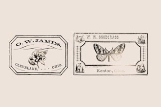design vintage illustration label or logo