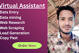 data entry, data mining, web scraping, web research,