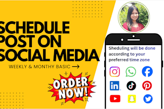 schedule your post on facebook and instagram
