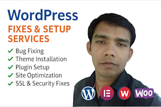fix, install, and customize wordpress themes and plugins