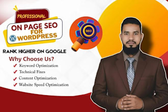 provide wordpress on page seo service
