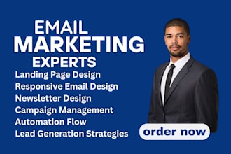 write email sales copy,ads copy email marketing campaigns