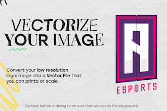 convert your image to a vector file