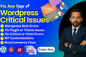 fix or repair any kind of wordpress bug and elementor errors