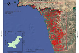 do gis mapping, remote sensing analysis, and satellite image processing