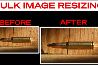 do bulk image resizing service 100 to 1 million images