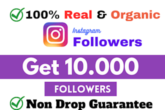get 1000 organic instagram followers