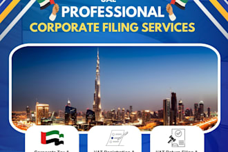 handle uae vat and corporate tax