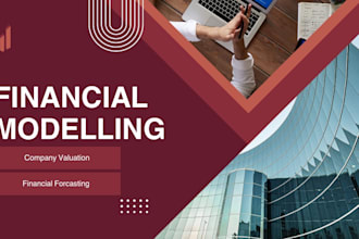 provide financial modelling and company valuation