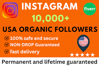 increase social media followers