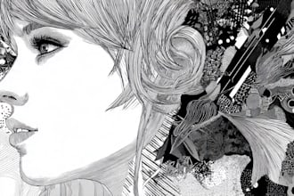 line drawing and vector line art illustration