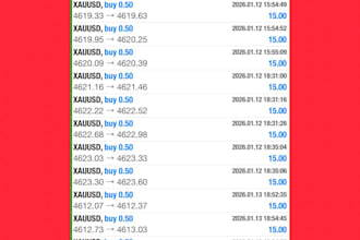 provide forex trading robot ready made or custom robot with your style