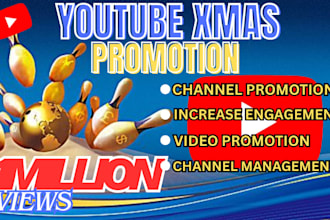 do youtube channel promotion, organic growth and video SEO tag, yt shoutout