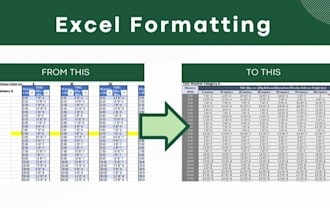 clean the data, formatting and automate excel