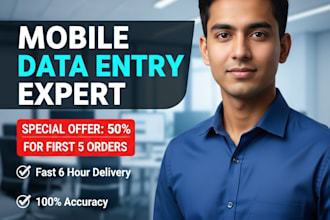 do expert data entry and excel work