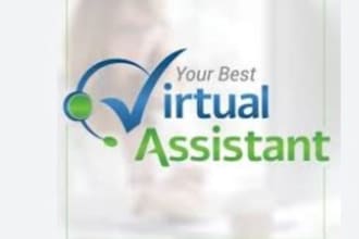 provide virtual assistant and web research support