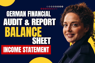 do financial audit reports, balance sheet, cash flow, profit and loss statement
