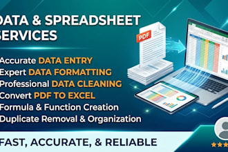 data formatting cleaning and data entry etc