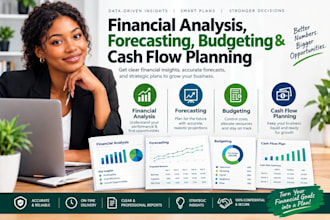 provide financial analysis, forecasting, budgeting and cash flow planning