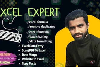 do data cleaning,excel data cleaning,data formatting, data entry microsoft excel