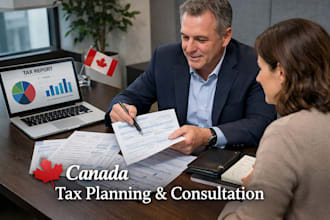 provide canada tax planning and cra consultation
