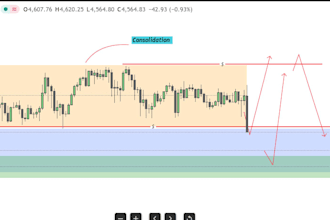 be your professional forex trader and market analyst