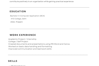 make a professional resume or CV in canva