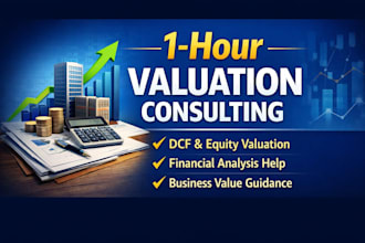 provide 1 hour company valuation consulting call