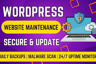 provide monthly website maintenance for your wordpress site