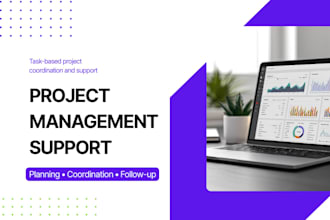 provide project management and virtual support